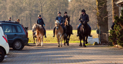 Stalhouders opgelet!