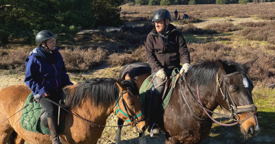 Wist je dit al over Paard & Partner?