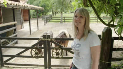 Liefde en paarden op tv