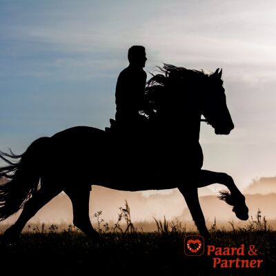 Een prins op een zwart paard?! Wat nu?