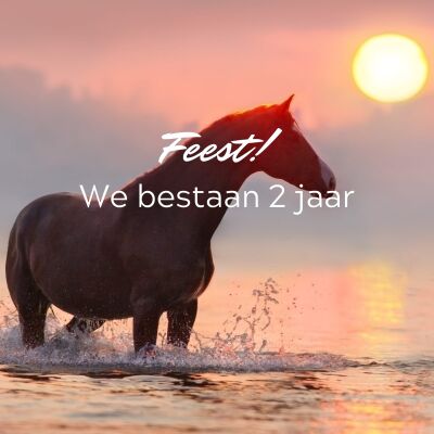 Feest! We bestaan 2 jaar en we trakteren...